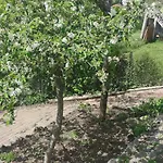La Petite Maison D'hose Monistrol-sur-Loire