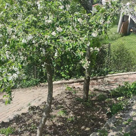 La Petite Maison D'hose Monistrol-sur-Loire